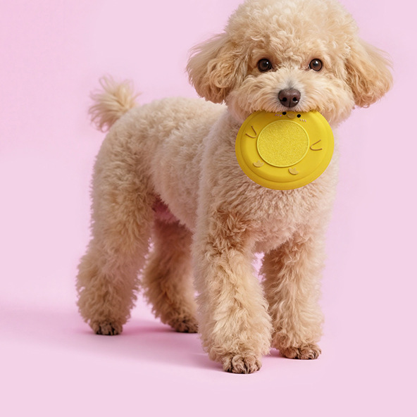 Soft Plush Pet Frisbee Toy for Outdoor Play and Training
